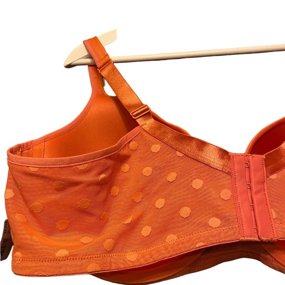 Deesee Additionelle Tshirt bra 46D NWT - Picture 7 of 8